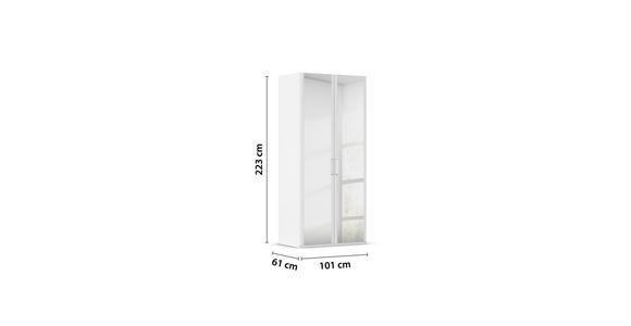 DREHTÜRENSCHRANK 101/223/60 cm 2-türig Weiß  - Weiß, Design, Glas/Holzwerkstoff (101/223/60cm) - Novel