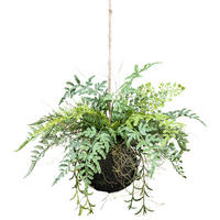 KUNSTPFLANZE Farn 25 cm  - Grün, Design, Kunststoff (25cm) - P & B