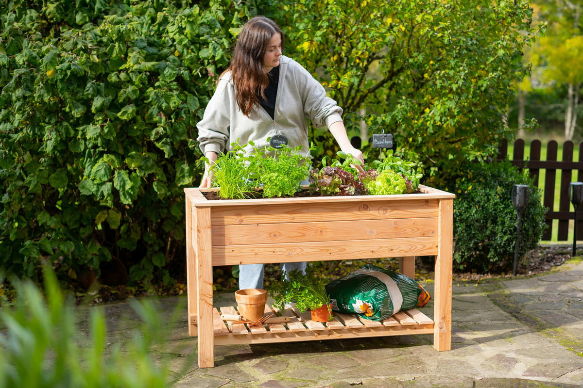 HOCHBEET  - Lärchefarben, KONVENTIONELL, Holz (120/65/75cm) - Ambia Garden