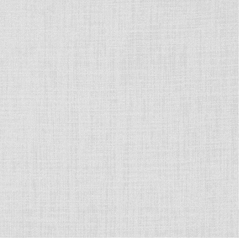 PROSOJNO BLAGO ZA ZAVESE           290 cm   bela  - bela, Basics, tekstil (290cm)