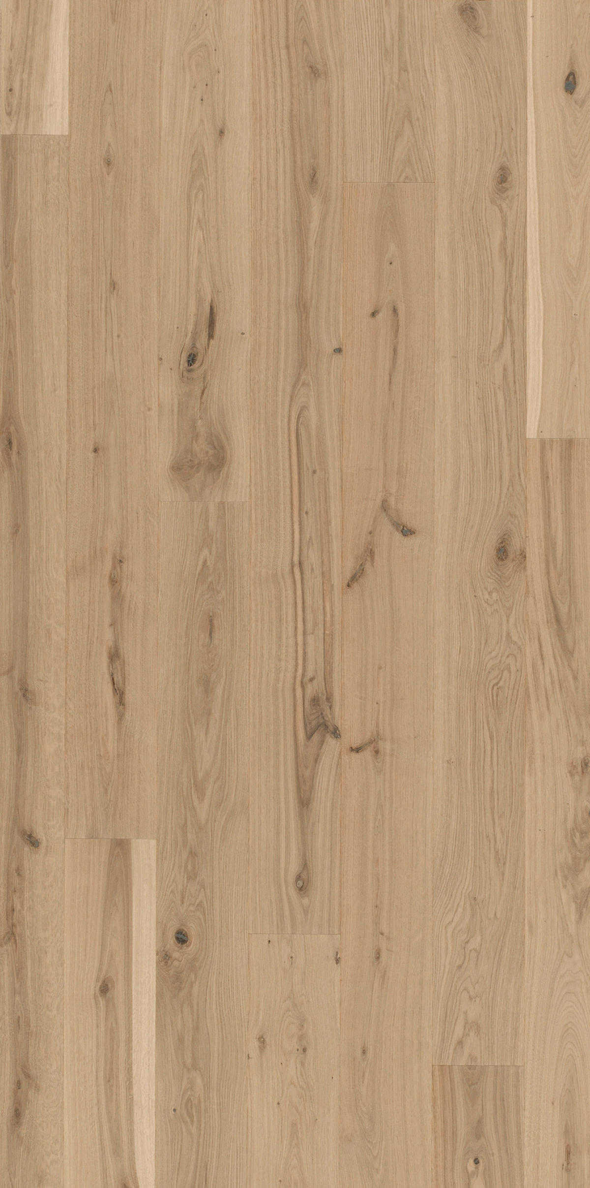 PARKETTBODEN BASIC 11-5 1518250  per  m² - Hellbraun/Weiß, LIFESTYLE, Holz (220/18,5/1,15cm) - Parador