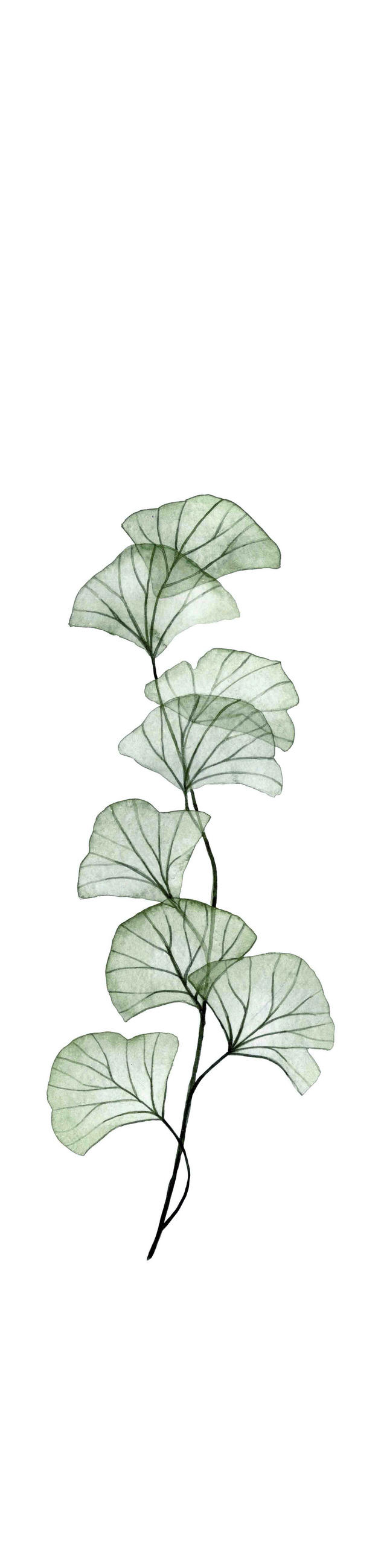 FLÄCHENVORHANG   halbtransparent   60/260 cm  - Salbeigrün, Natur, Textil (60/260cm)
