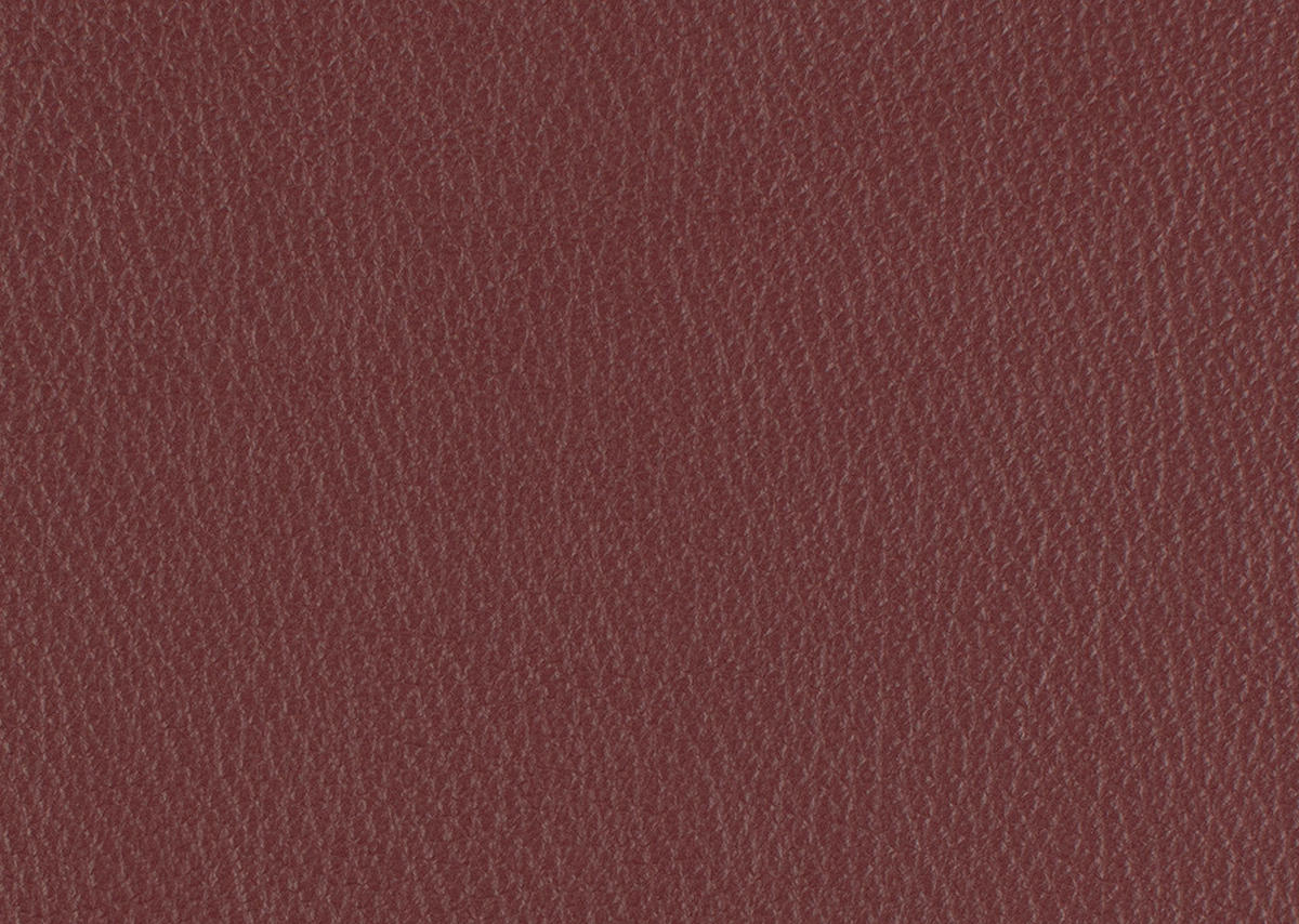 3-SITZER-SOFA in Echtleder Weinrot  - Weinrot/Schwarz, Design, Leder/Metall (190/84/99cm) - Dieter Knoll