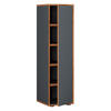 SCHUHSCHRANK Anthrazit, Honigeiche  - Honigeiche/Anthrazit, Design, Holzwerkstoff/Kunststoff (30/110/33cm) - MID.YOU