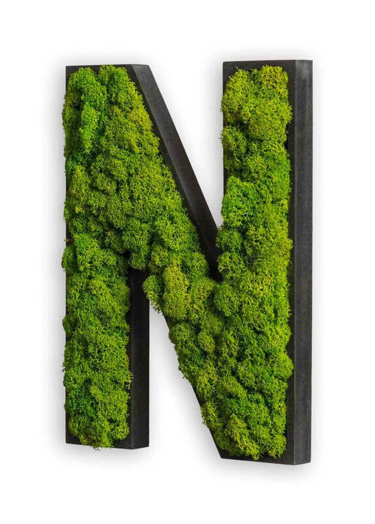 MOOSBILD Stylegreen  - Schwarz/Grün, Basics, Naturmaterialien/Holz (25/18/4cm)