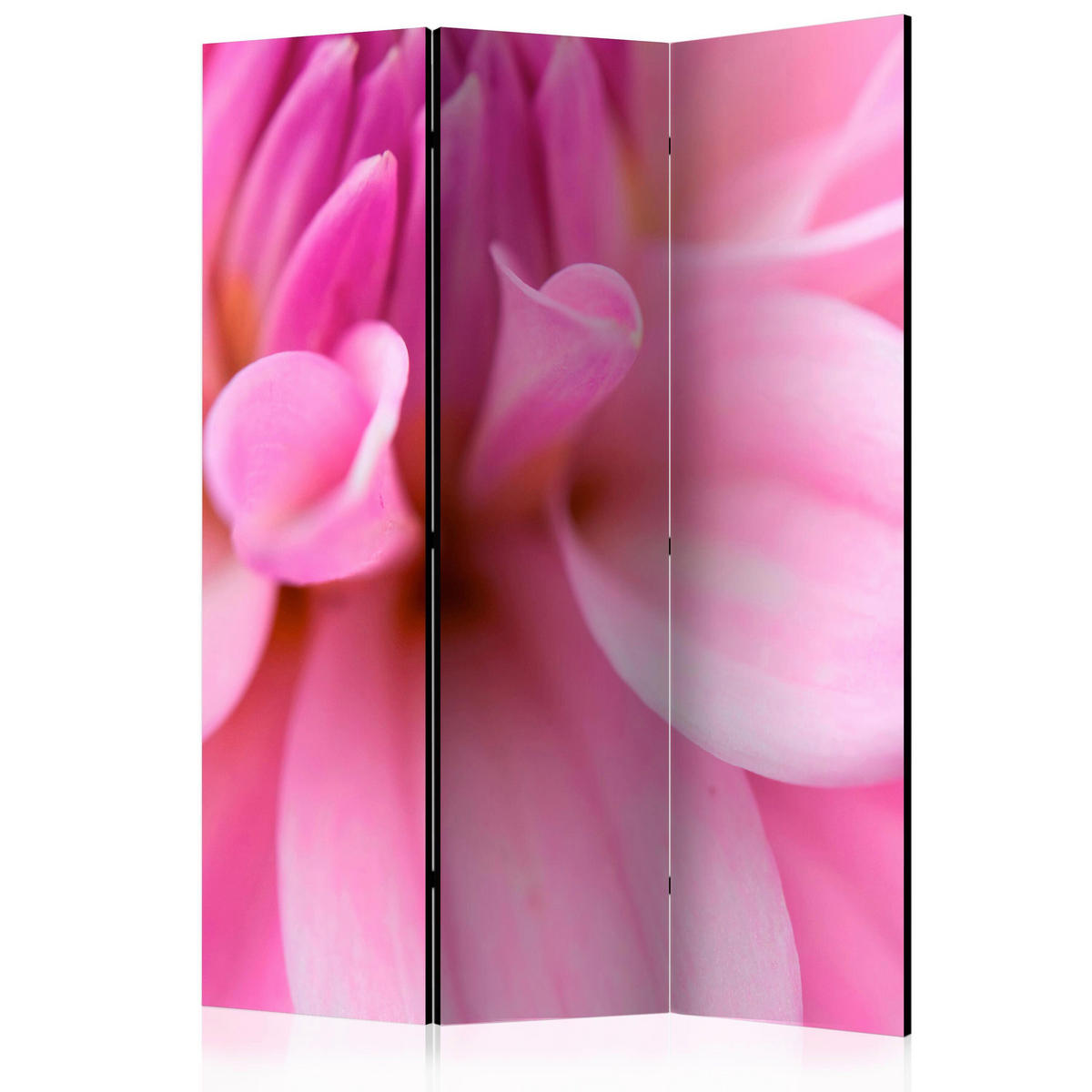 PARAVENT mit 3  Flügel - Pink, Basics, Holz/Textil (135/172/3cm) - artgeist