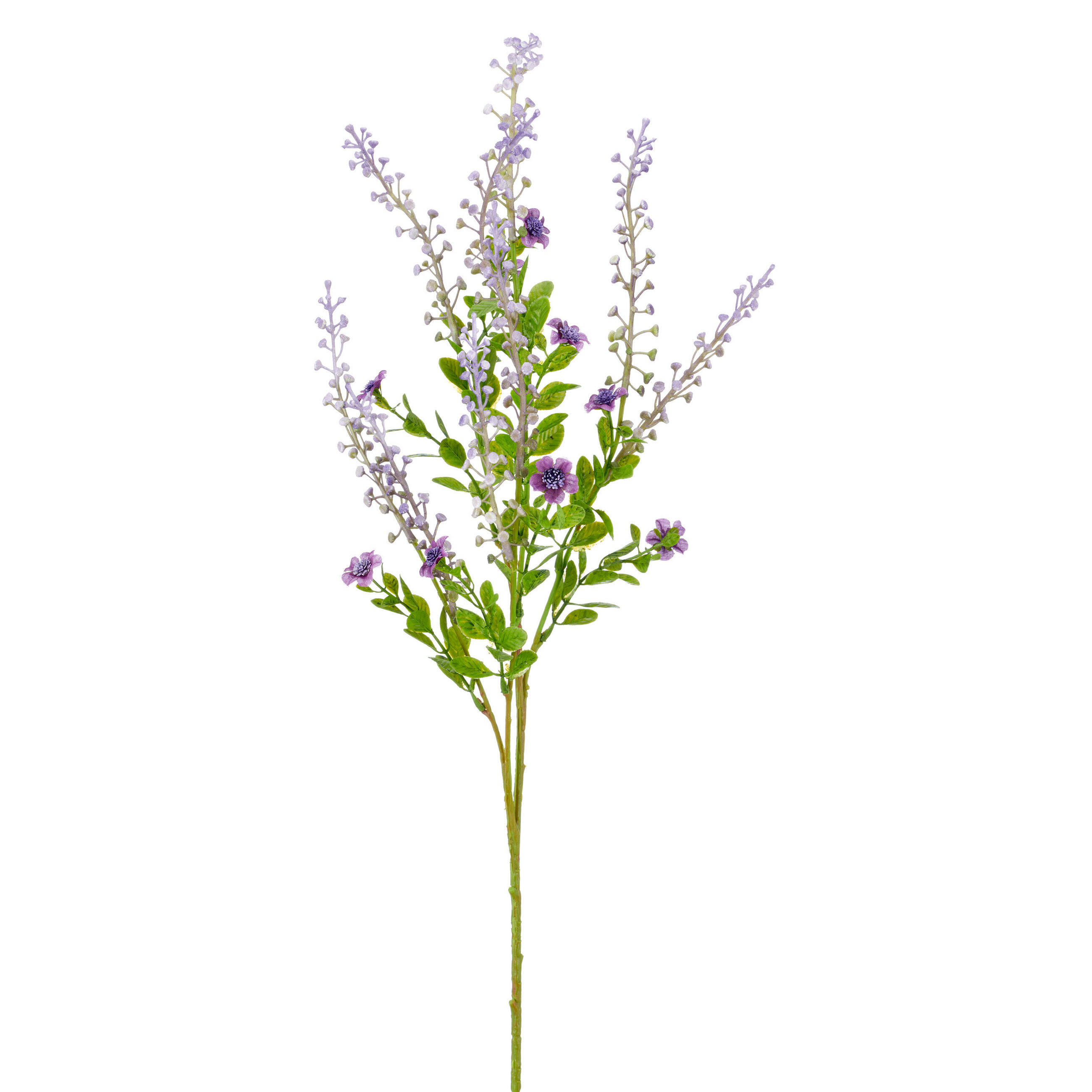 Dekozweig Phytolacca