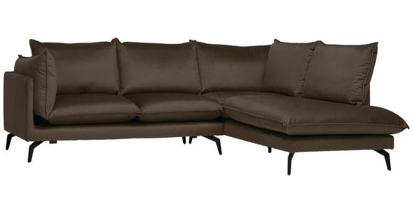 ECKSOFA  in Samt Braun Rückenkissen, Rücken echt  241/200 cm  - Schwarz/Braun, Design, Textil/Metall (241/200cm) - Carryhome