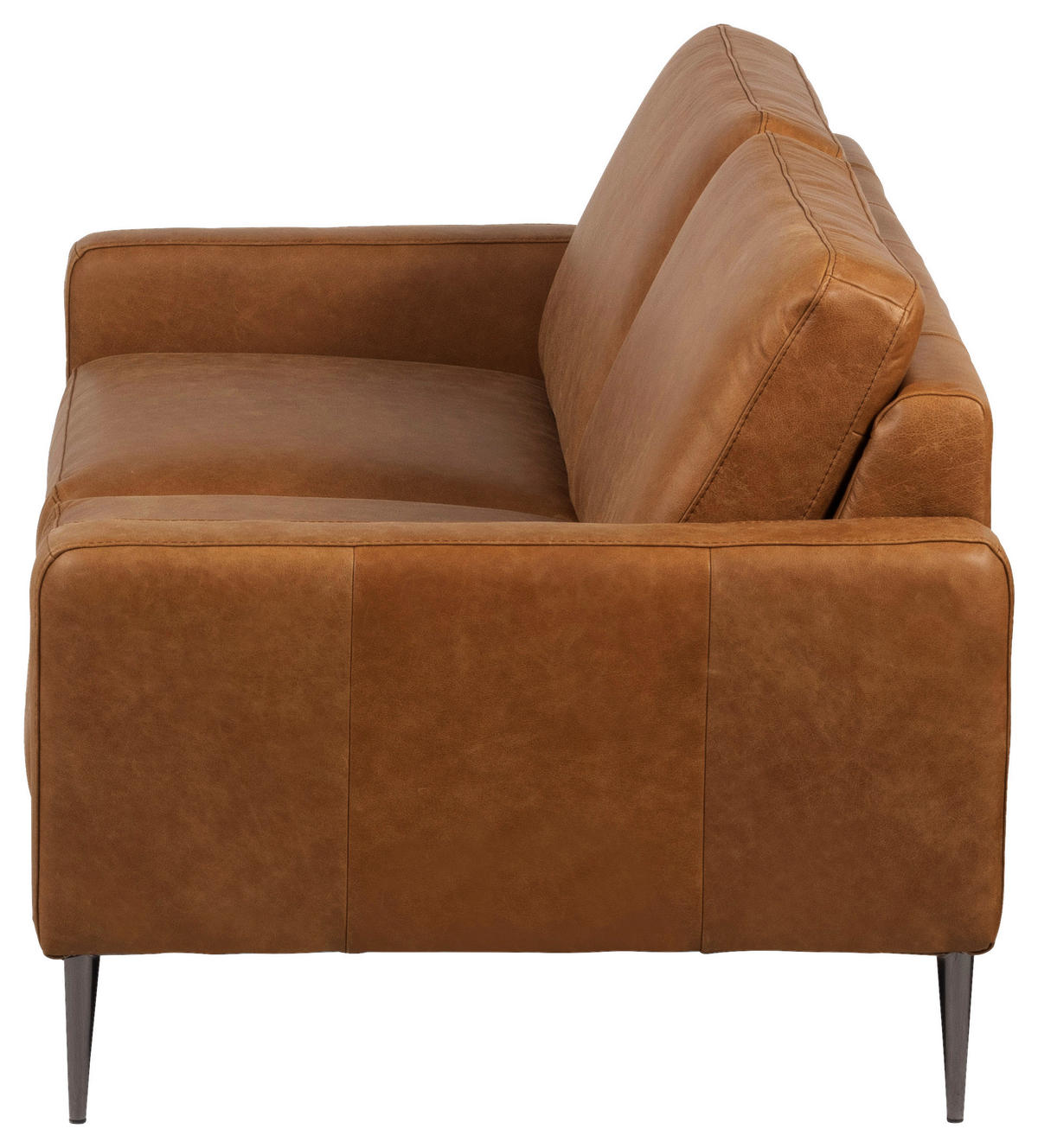2-SITZER-SOFA SPRING Cognac Echtleder  - Cognac/Schwarzchrom, Design, Leder/Metall (157/85/92cm) - Livetastic