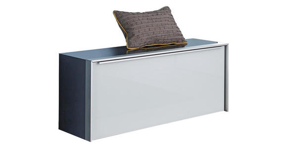GARDEROBENBANK 102/44/33,5 cm - Alufarben/Schwarz, Design, Glas/Holzwerkstoff (102/44/33,5cm) - Dieter Knoll