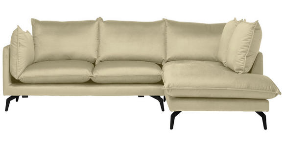 ECKSOFA  in Samt Beige Rückenkissen, Rücken echt  241/200 cm  - Beige/Schwarz, Design, Textil/Metall (241/200cm) - Carryhome