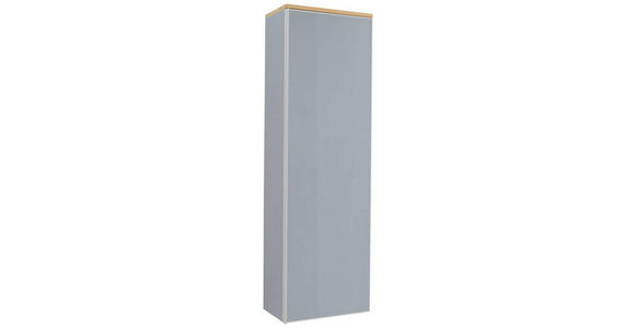 GARDEROBENSCHRANK 54/170/31 cm - Eichefarben/Silberfarben, Design, Glas/Holz (54/170/31cm) - Novel