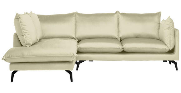 ECKSOFA  in Samt Creme  200/241 cm  - Creme/Schwarz, Design, Textil/Metall (200/241cm) - Carryhome