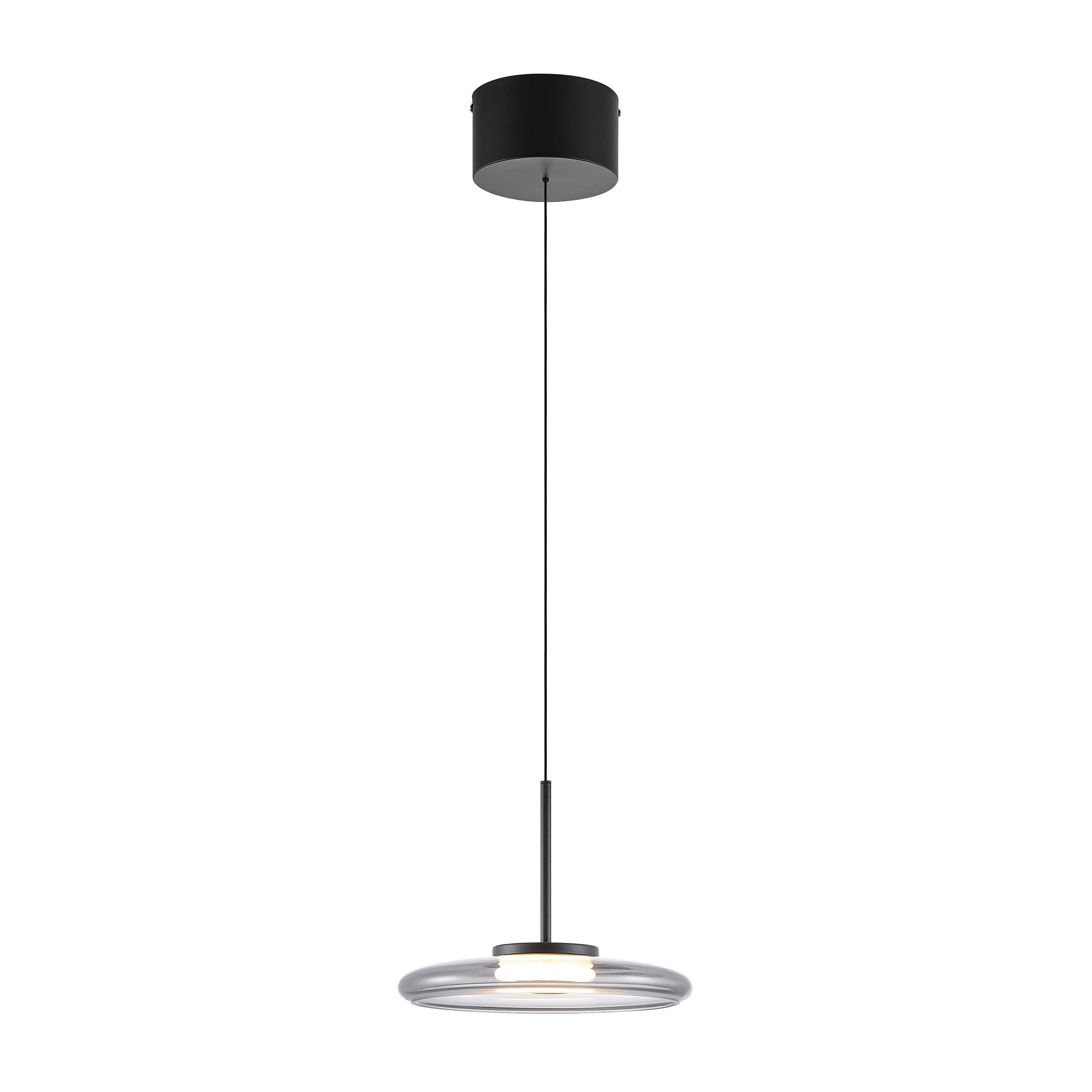 LED-HÄNGELEUCHTE Felis   - Schwarz, Basics, Glas/Metall (25cm) - Novel