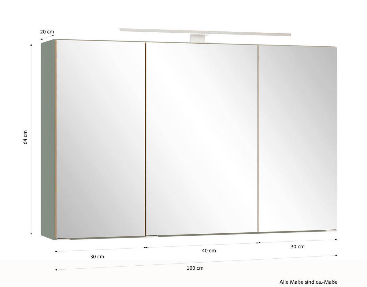 SPIEGELSCHRANK 100/64/20 cm  - Schilfgrün/Wildeiche, Trend, Glas/Holzwerkstoff (100/64/20cm) - Held