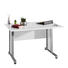 SCHREIBTISCH Alufarben, Weiß - Alufarben/Weiß, Design, Metall (120/80cm) SCHREIBTISCH Alufarben, Weiß - Alufarben/Weiß, Design, Metall (120/80cm)