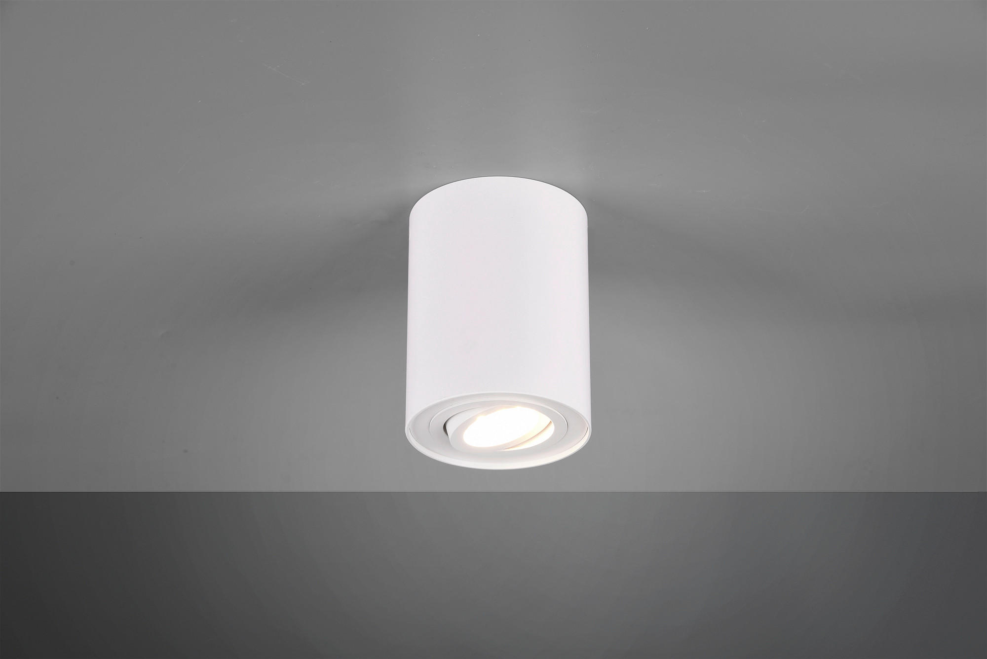 DECKENLEUCHTE  9,6/12,5 cm    - Basics (9,6/12,5cm) - Trio Leuchten