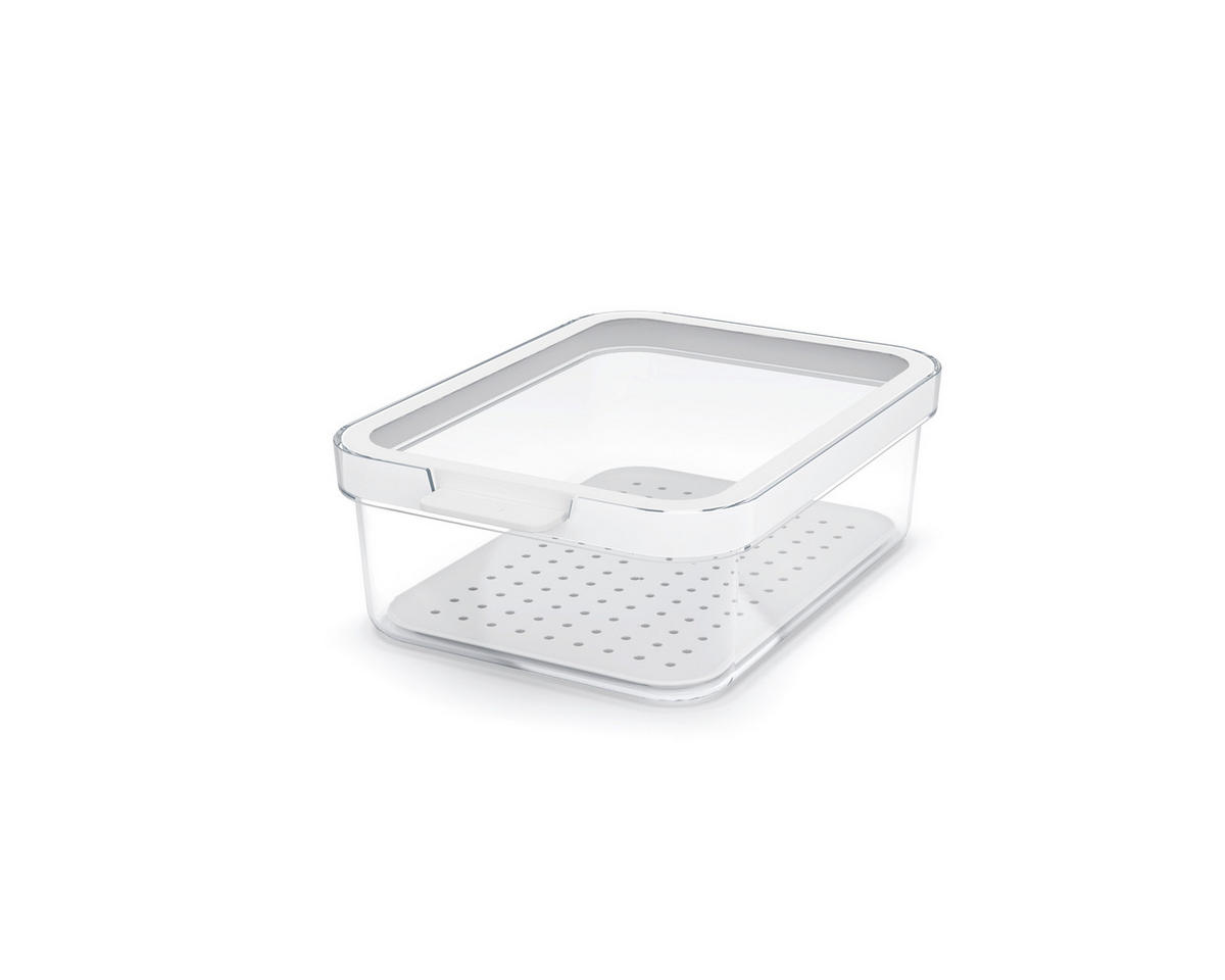 KÜHLSCHRANKBOX CAUMA  - Klar/Weiß, Basics, Kunststoff (19,6/13,6/6,2cm) - Rotho