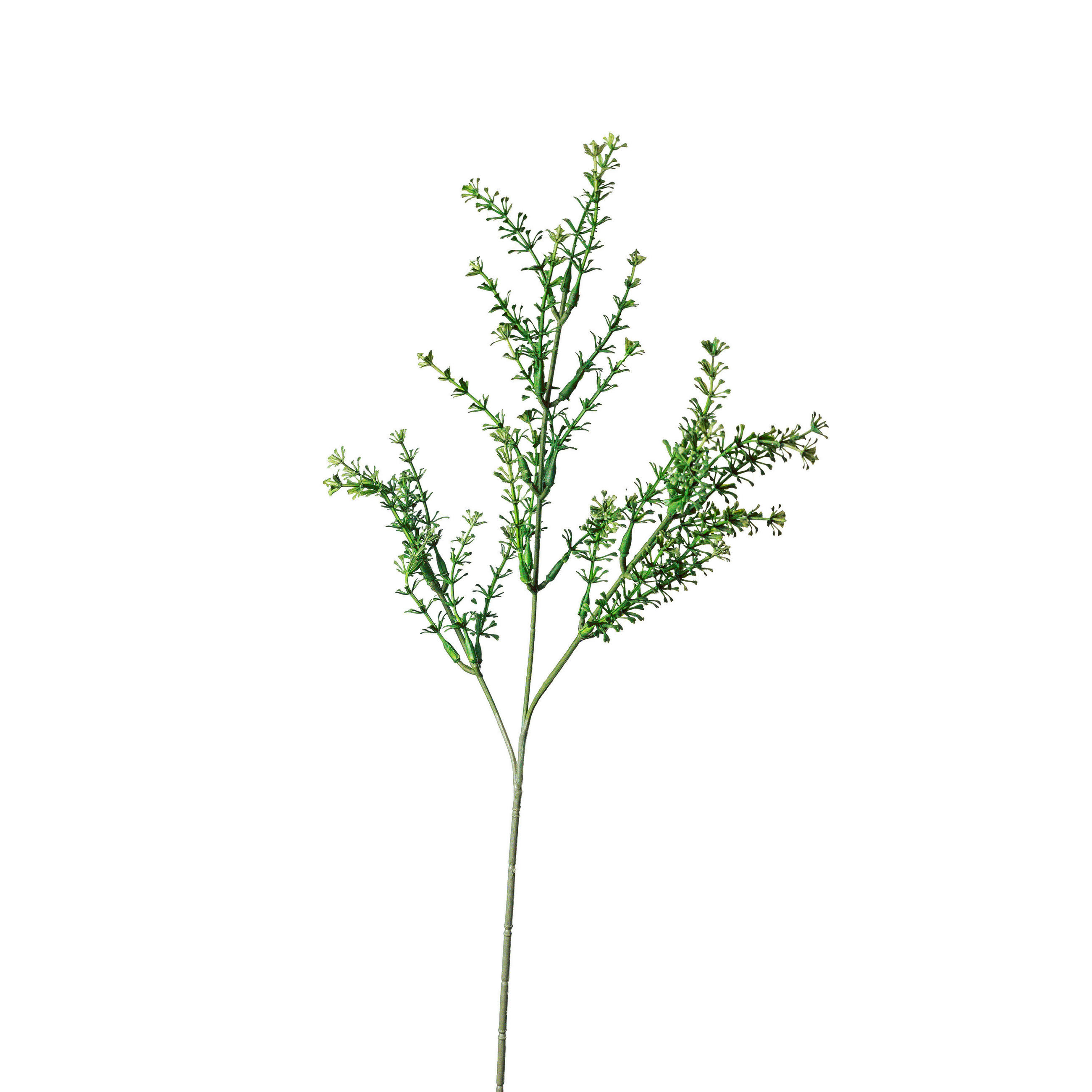 DEKORAČNÍ VĚTVIČKA 67 cm - zelená, Basics, plast (67cm)