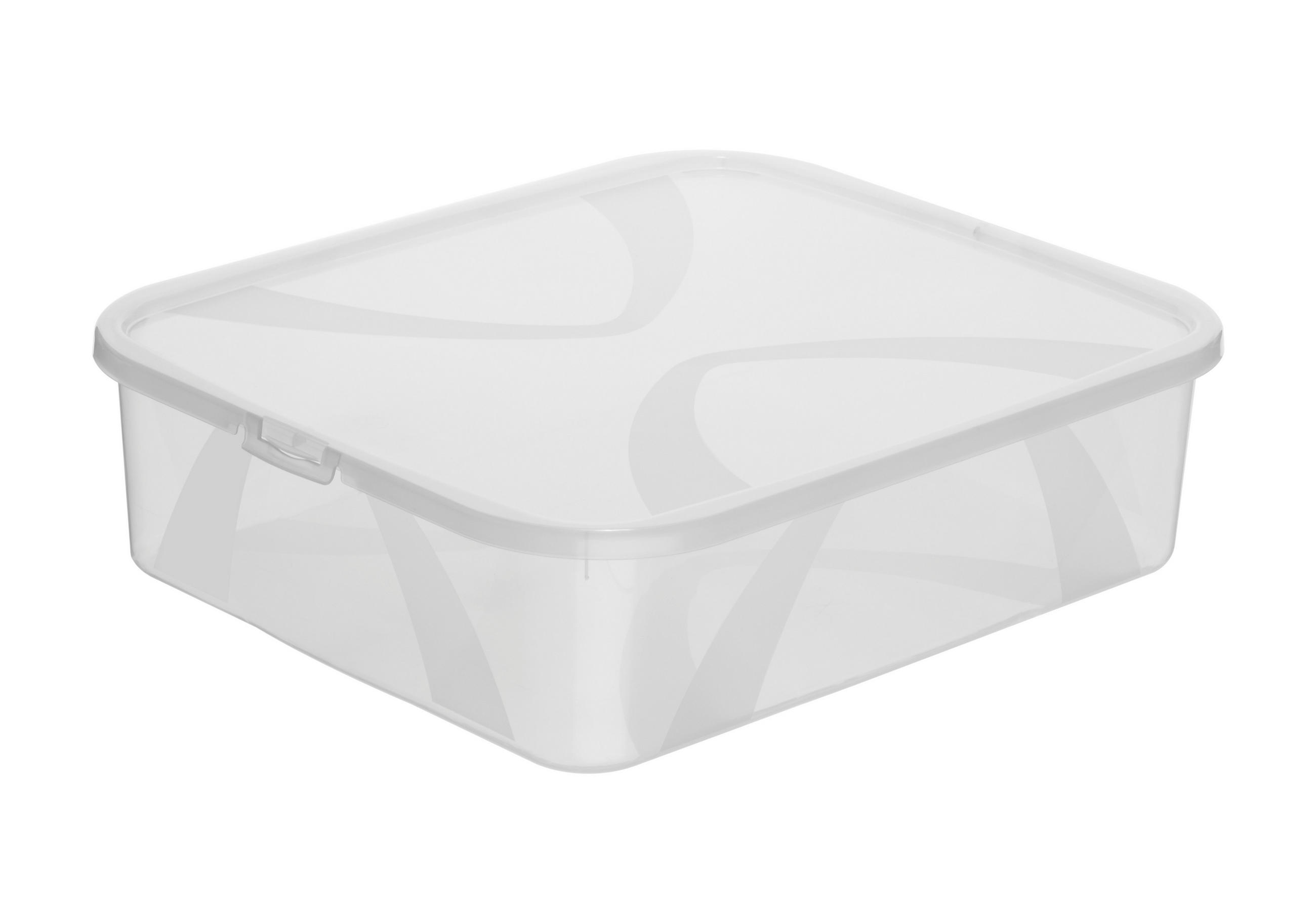 BOX MIT DECKEL ARCO  - Transparent, Basics, Kunststoff (42/35,1/11,2cm) - Rotho