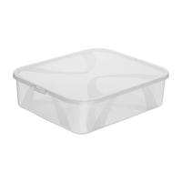 BOX MIT DECKEL ARCO  - Transparent, Basics, Kunststoff (42/35,1/11,2cm) - Rotho