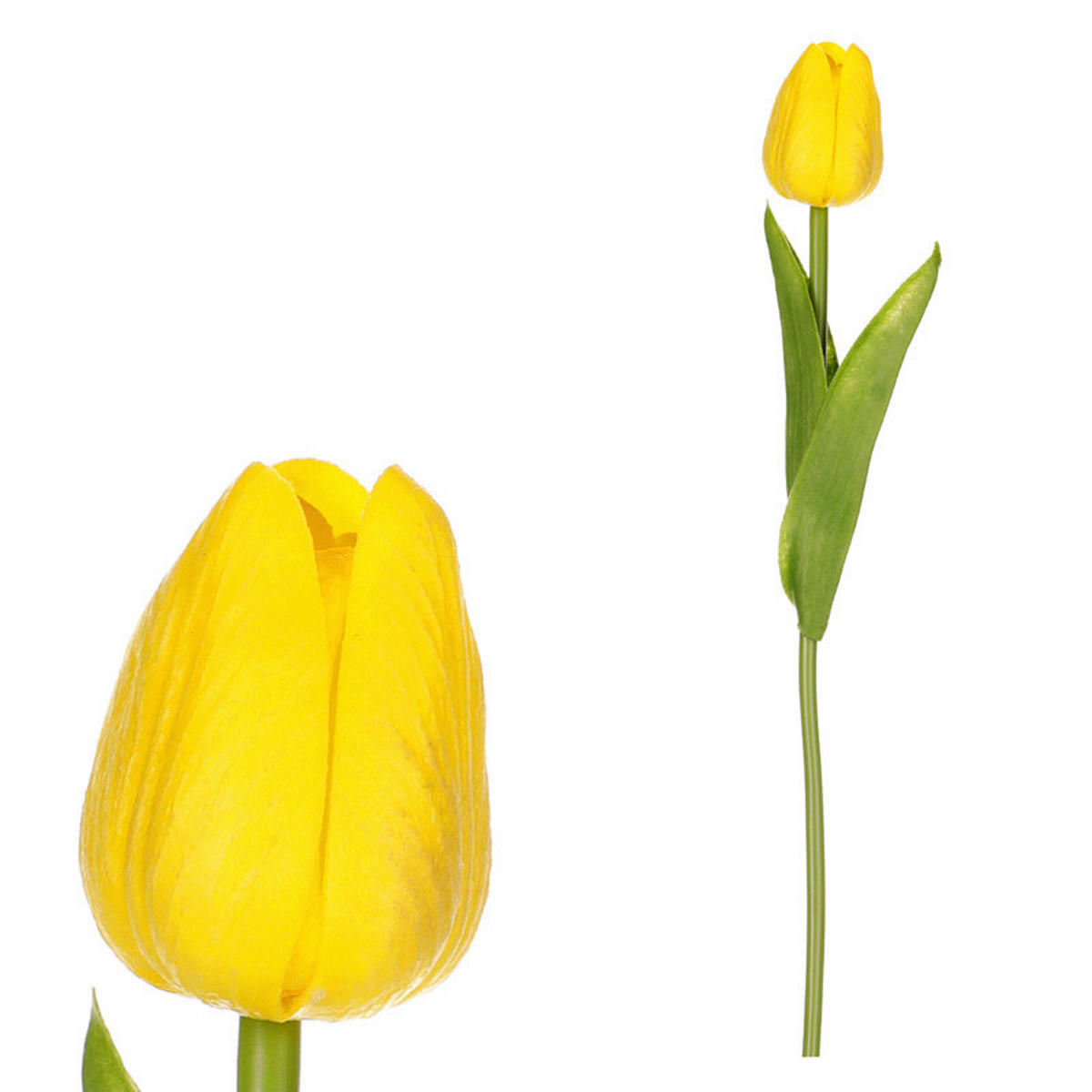 TULIPÁN 34 cm - žltá/zelená, Basics (34cm)