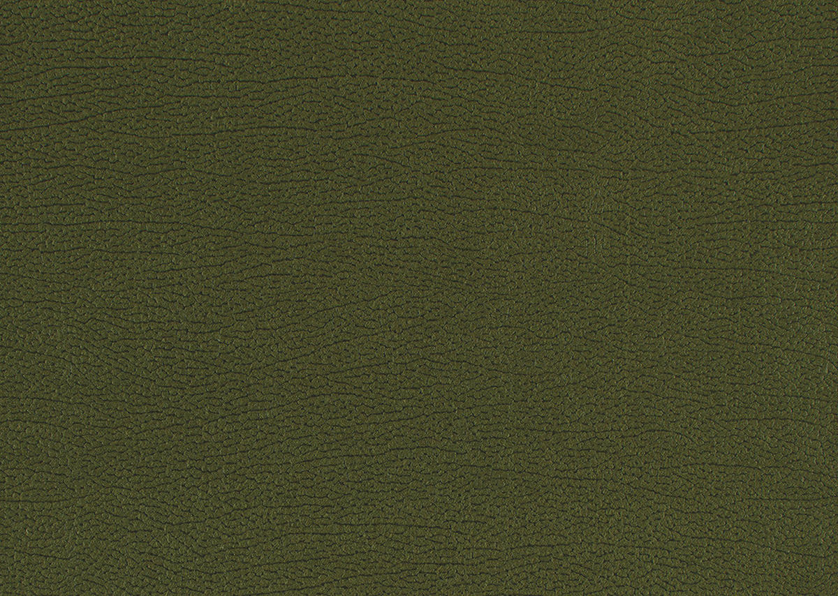 2-SITZER-SOFA Lederlook Olivgrün  - Chromfarben/Olivgrün, KONVENTIONELL, Textil/Metall (212/85/95cm) - Carryhome