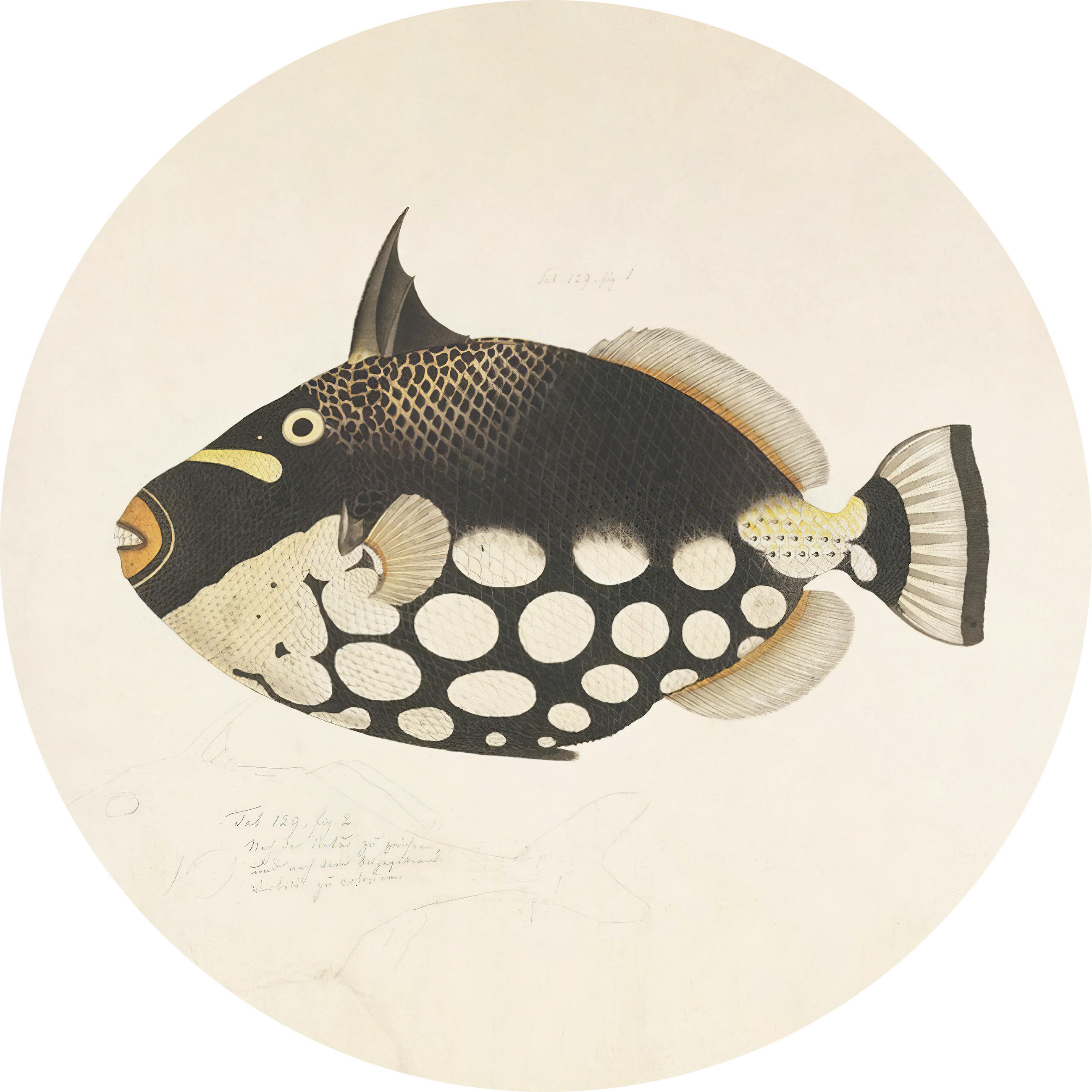 METALLBILD  - Basics, Metall (60/0.3cm)