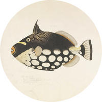 METALLBILD  - Basics, Metall (60/0.3cm)