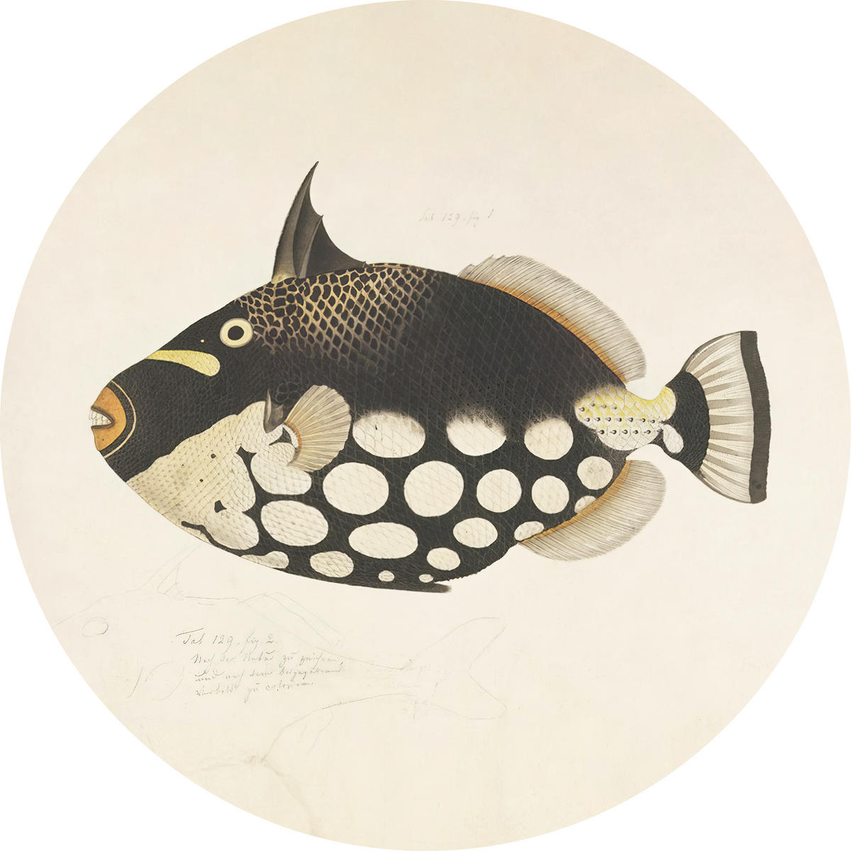 METALLBILD  - Basics, Metall (60/0.3cm)