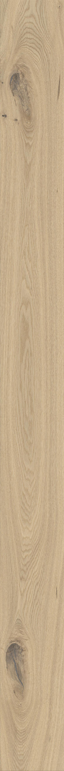 Landhausdiele Bergeiche pure  per  m² - Eichefarben/Weiß, Trend, Holz (180/17,5/1,1cm) - Waldwelt