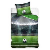 DJEČJA POSTELJINA 135/200 cm  FUSSBALL  - višebojno, Basics, tekstil (135/200cm)