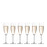 Sektglas-Set 6-teilig - Klar, Basics, Glas (0,215cm) - Leonardo Sektglas-Set 6-teilig - Klar, Basics, Glas (0,215cm) - Leonardo