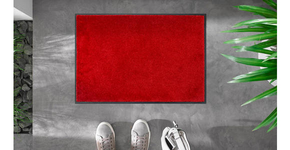 FUßMATTE  40/60 cm  Rot  - Rot, KONVENTIONELL, Kunststoff/Textil (40/60cm) - Esposa