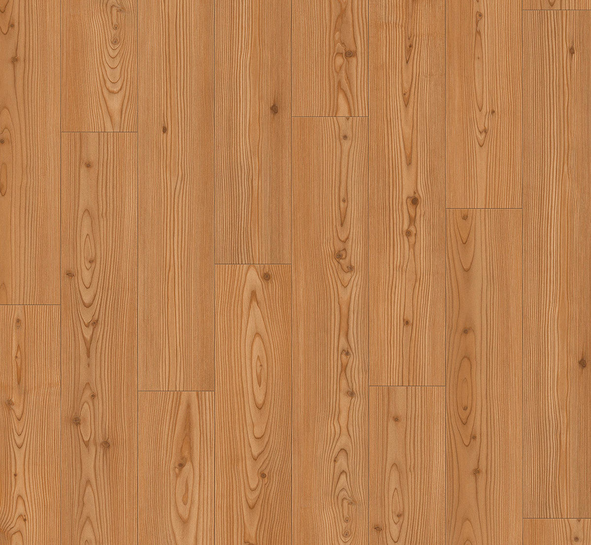 LAMINATBODEN Laminat Classic 1051  per  m² - Lärchefarben, Basics, Holzwerkstoff (128.5/19.4/0.8cm) - Parador