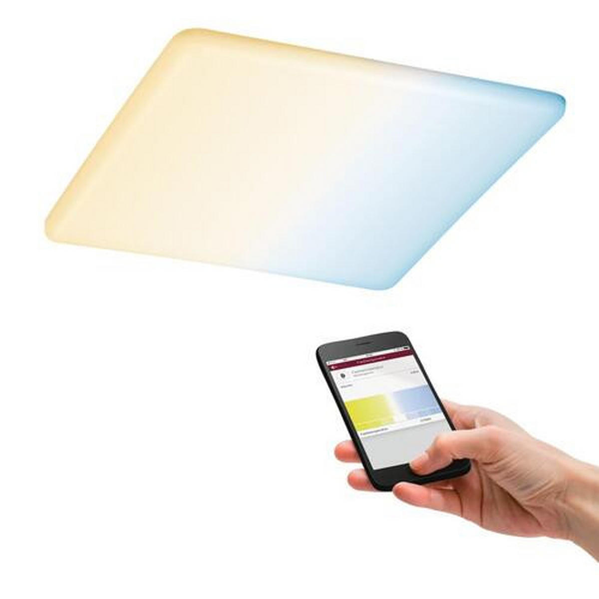 LED-PANEEL    - Weiß, Basics, Kunststoff (21,5/21,5cm) - Paulmann