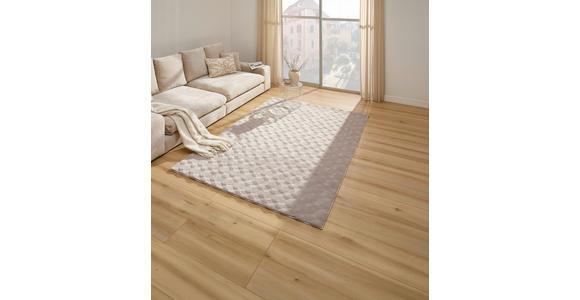 HOCHFLORTEPPICH 160/230 cm Beige  - Beige, KONVENTIONELL, Textil (160/230cm) - Novel