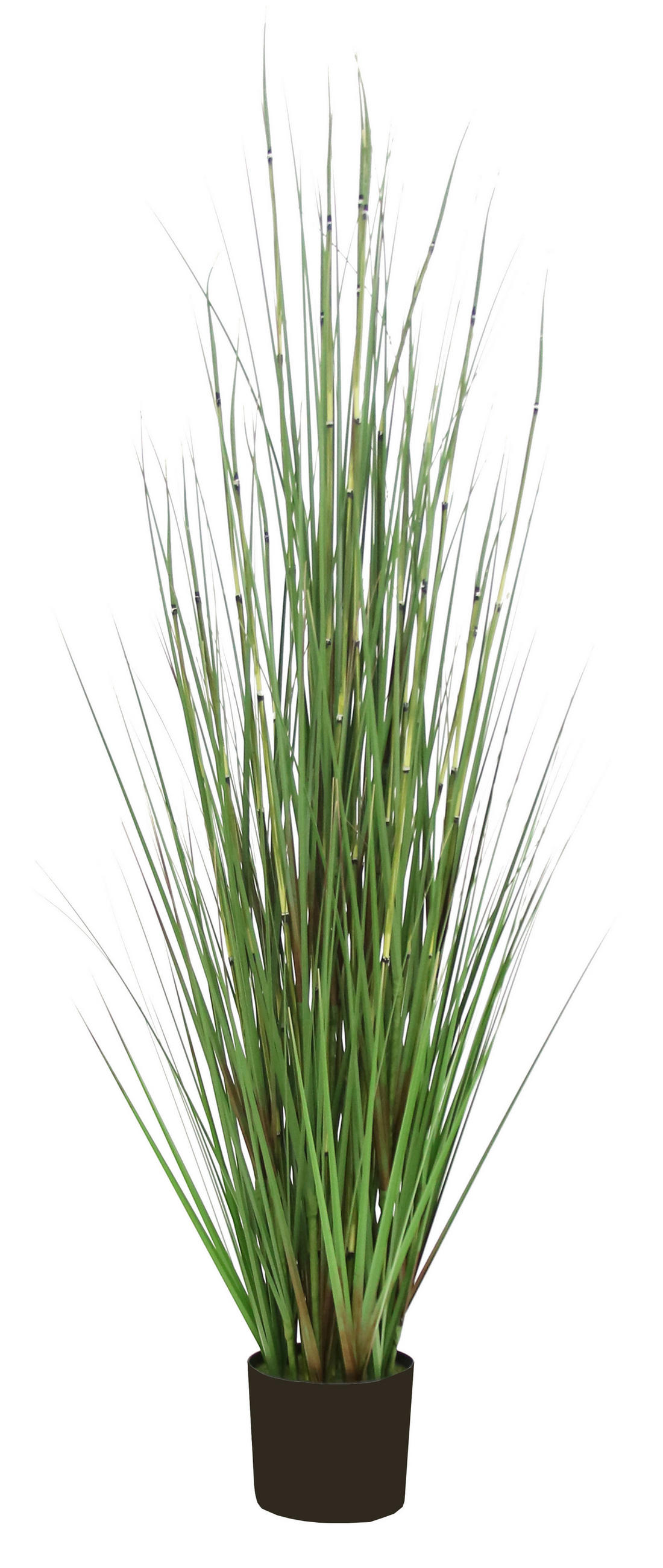 KUNSTPFLANZE 150 cm  - Basics (150cm) - Ambia Home