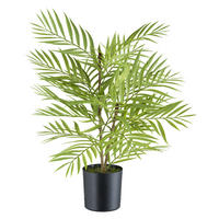 KUNSTPFLANZE Palme 48 cm  - Schwarz/Braun, Design, Kunststoff (48cm) - P & B
