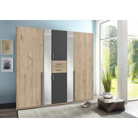 KLEIDERSCHRANK in Graphitfarben, Eichefarben  - Eichefarben/Alufarben, Konventionell, Glas/Holzwerkstoff (225/208/58cm) - Carryhome
