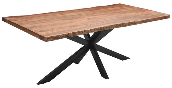 TISCHGESTELL Schwarz - Schwarz, Design, Metall (160/70/72cm) - Landscape
