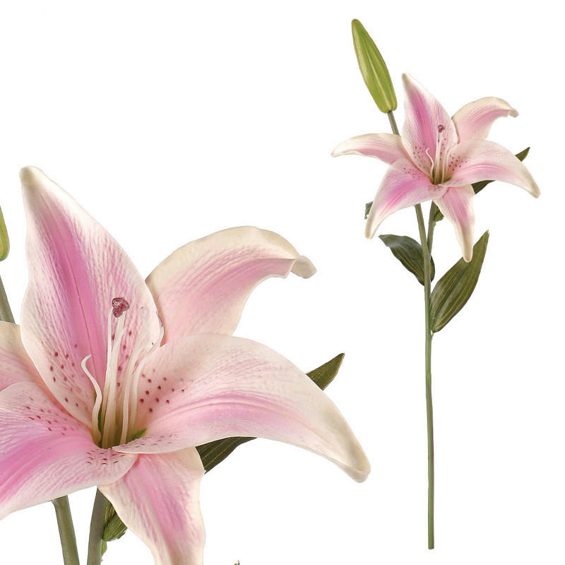 ĽALIA 60 cm - pink/biela, Basics, textil/plast (60cm)