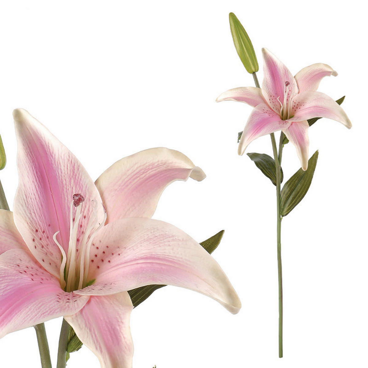 ĽALIA 60 cm - pink/biela, Basics, textil/plast (60cm)