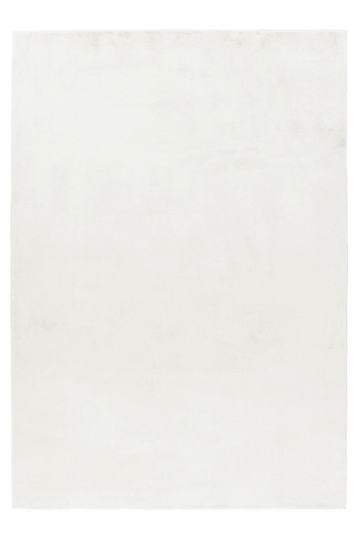 TEPIH VISOKOG FLORA 200/290 cm   krem  Pouffy  - krem, Basics, tekstil (200/290cm)