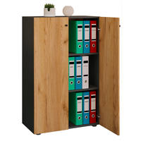 AKTENSCHRANK 70/110/39 cm  - Honigeiche/Anthrazit, Design (70/110/39cm) - MID.YOU