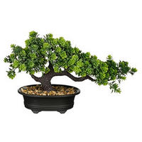 BONSAI  - grön, Basics, plast (33/13/21cm)