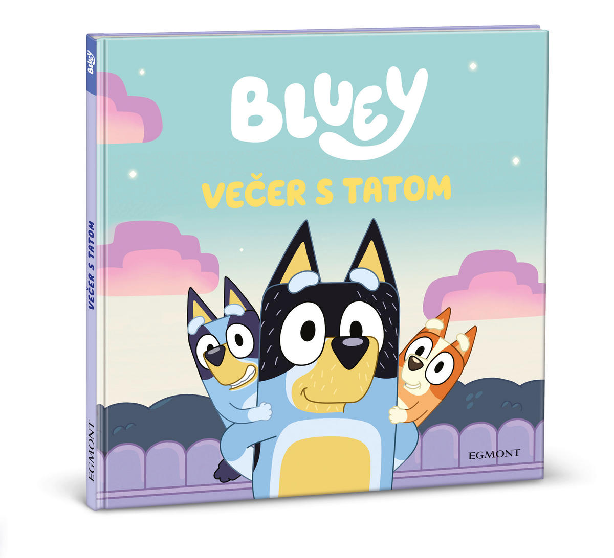 SLIKOVNICA  BLUEY  - višebojno, Basics, papir