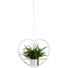 Pflanztopf - Weiß, Romantik / Landhaus, Metall (39/39/14cm) - Ambia Home Pflanztopf - Weiß, Romantik / Landhaus, Metall (39/39/14cm) - Ambia Home