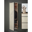 GARDEROBENSCHRANK  in 54/170/31 cm  - Eichefarben/Anthrazit, Design, Glas/Holz (54/170/31cm) - Dieter Knoll