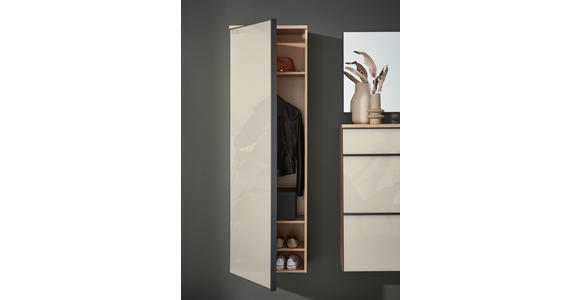 GARDEROBENSCHRANK  in 54/170/31 cm  - Eichefarben/Anthrazit, Design, Glas/Holz (54/170/31cm) - Dieter Knoll